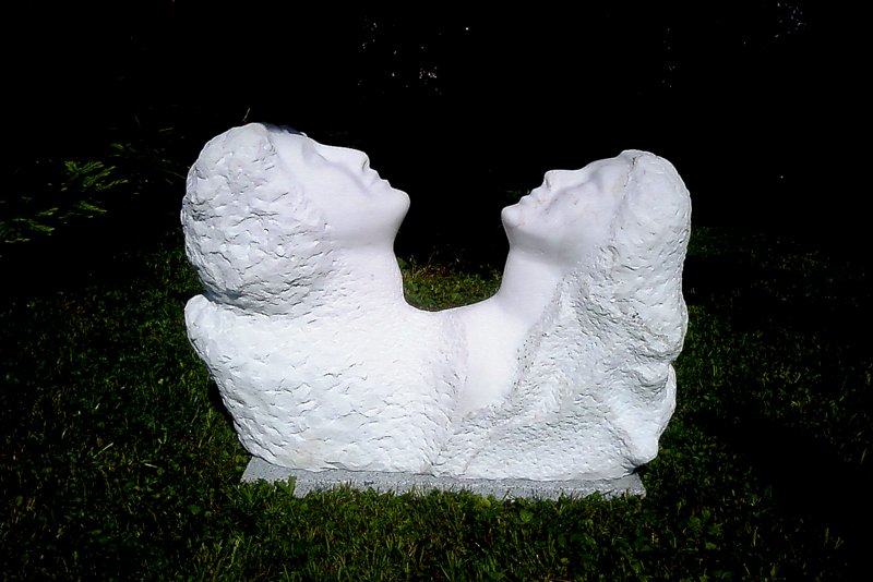 Himmelsgucker01 2010